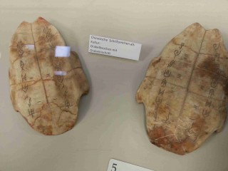 20121102_161122_WEB