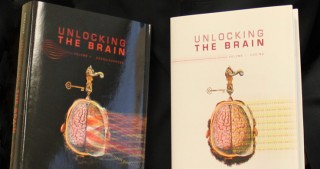 brain northoff
