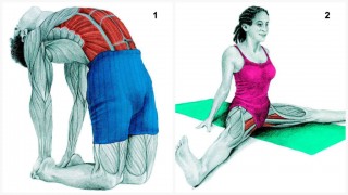 stretching muscles