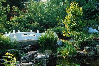 chinese garden