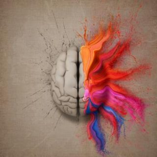 empathy-and-brain